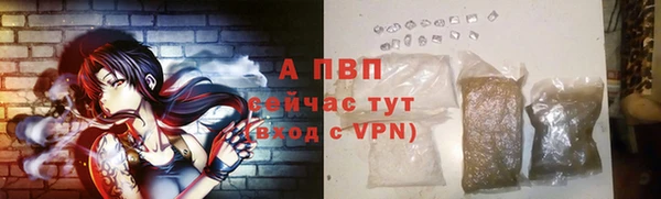 стаф Белоозёрский