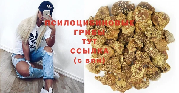 крисы Беломорск