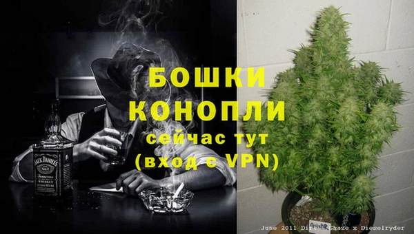 стаф Белоозёрский