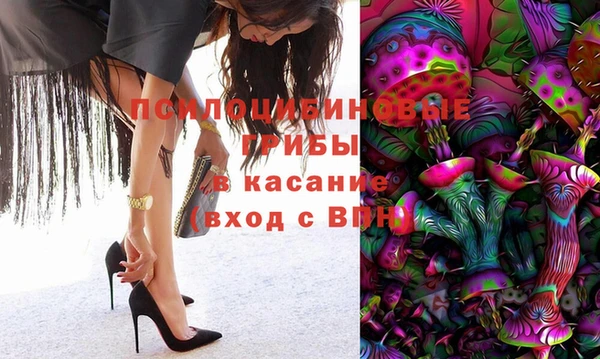 ГАЛЛЮЦИНОГЕННЫЕ ГРИБЫ Белокуриха