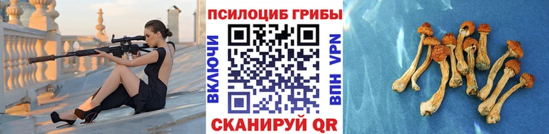 цены наркотик  Очёр  Псилоцибиновые грибы MAGIC MUSHROOMS 